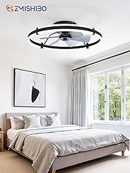 ZMISHIBO 24 Inch Ceiling Fans with Lights and
