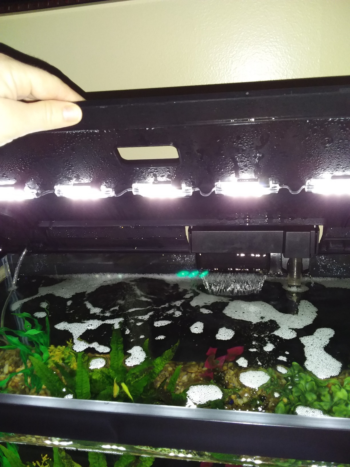25/mo Finance Tetra Aquarium 20 Gallon Fish Tank Kit, Includes LED