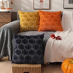 DFXSZ Fall Pillow Covers 16x16 Set of 2 Fall