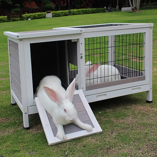 bunny cage with pull out tray