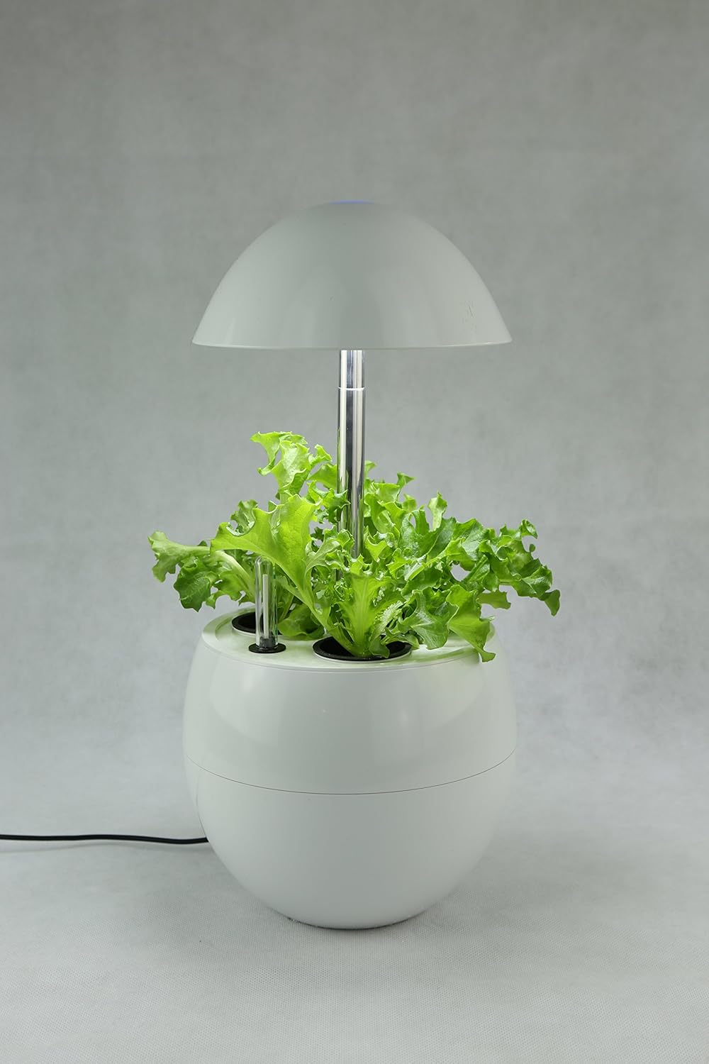 HUERTO HIDROPÓNICO CON AUTOILUMINACIÓN LED: Amazon.es: Jardín