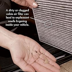 PureFlow Cabin Air Filter PC99244X | Fits 2019-2025