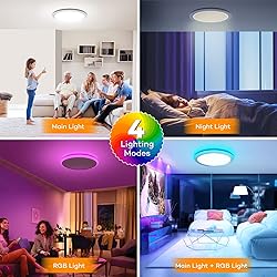 BLNAN RGB Led Flush Mount Ceiling Light with Remote