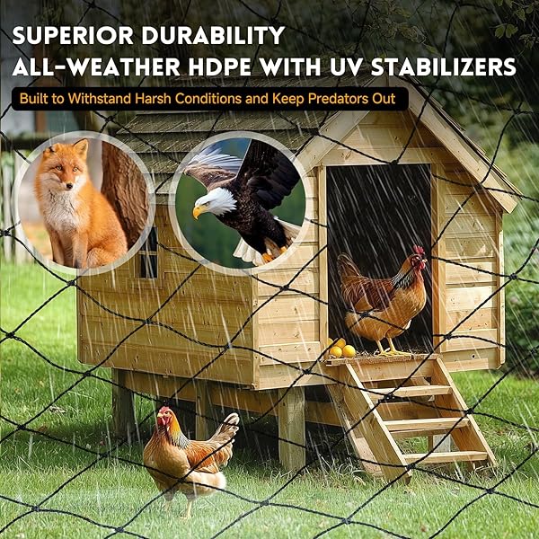 HEAVY DUTY AVIARY NETTING 25X50 FT, 1″ MESH REINFORCED HDPE POULTRY NETTING, ANTI-TANGLE BIRD NETTING FOR CHICKEN COOP, HAWK DETERRENT FOR CHICKENS, GARDEN & CROP PROTECTION