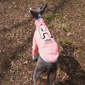 Amazon 名入れ イニシャル ネーム ボーダースウェット イタリアングレーハウンド服 イタグレ服 犬服 Tシャツ S ネオンピンク Houndy S シャツ パーカー 通販