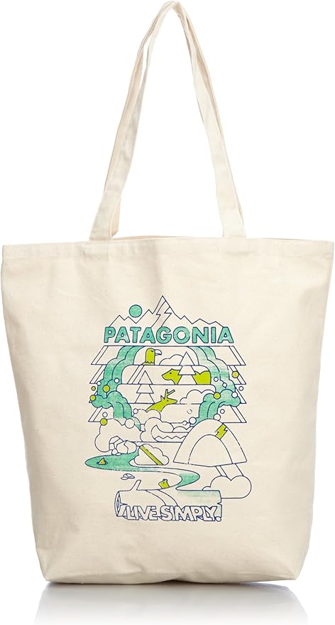 patagonia canvas backpack