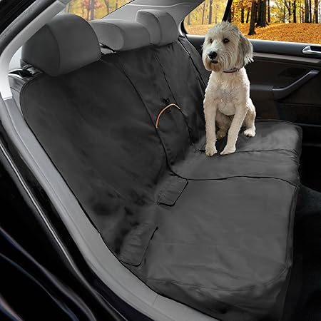 back seat protector for dogs