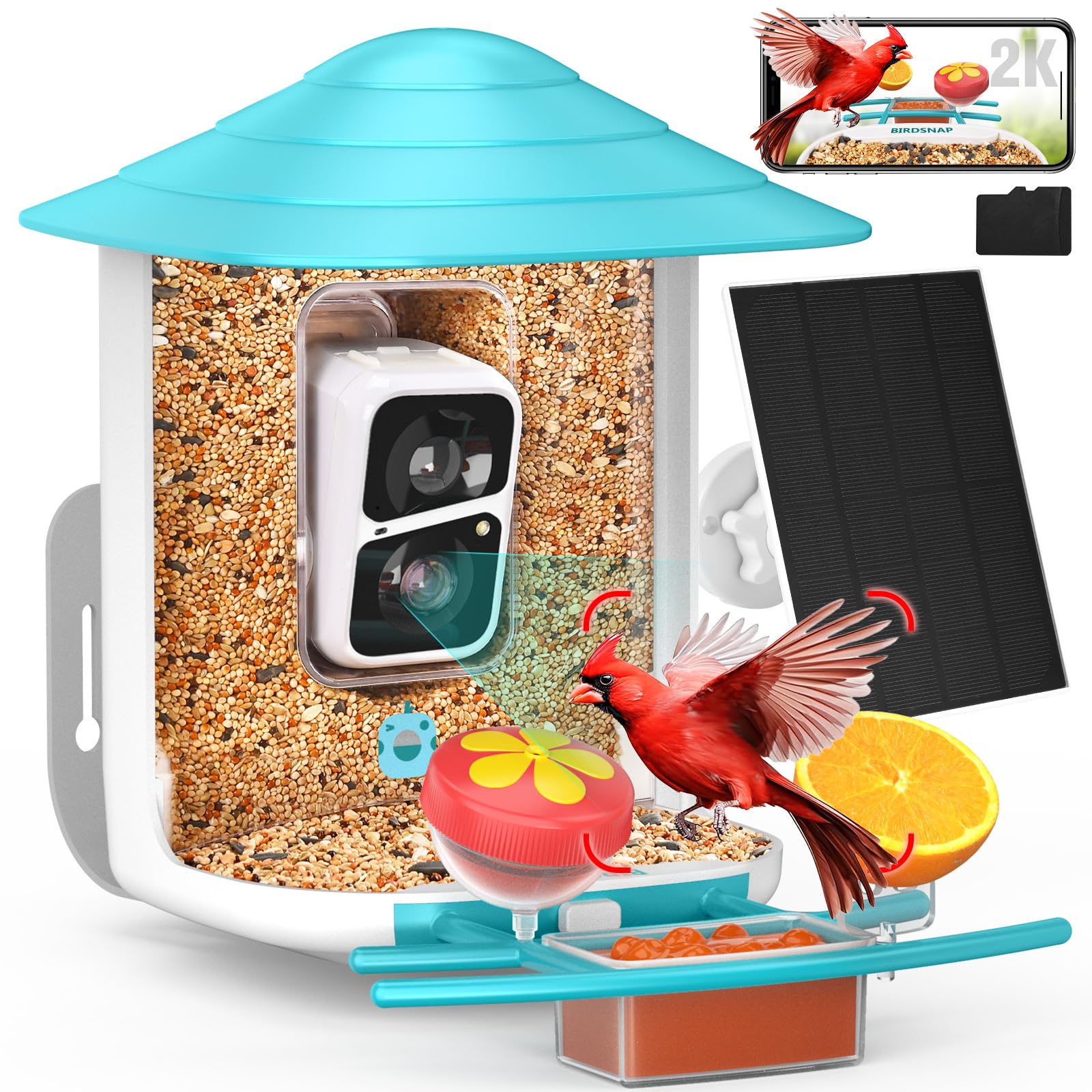 Photo 1 of birdsnap® TUC Bird Feeder with Camera 2K HD, Solar Panel 32GB Card 4-in-1 Perch, 160°View Auto Detect & Notify AI Identify Video Bird Camera Wireless Outdoors Ideal Gift for Birds Lover