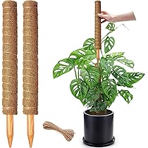 【新品未使用】MOSS STICK SW50 24-25 Amazon.com : 3 Pack Moss Pole, 50 Inch Monstera Plant