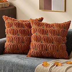 DFXSZ Fall Pillow Covers 18x18 Set of 2 Fall