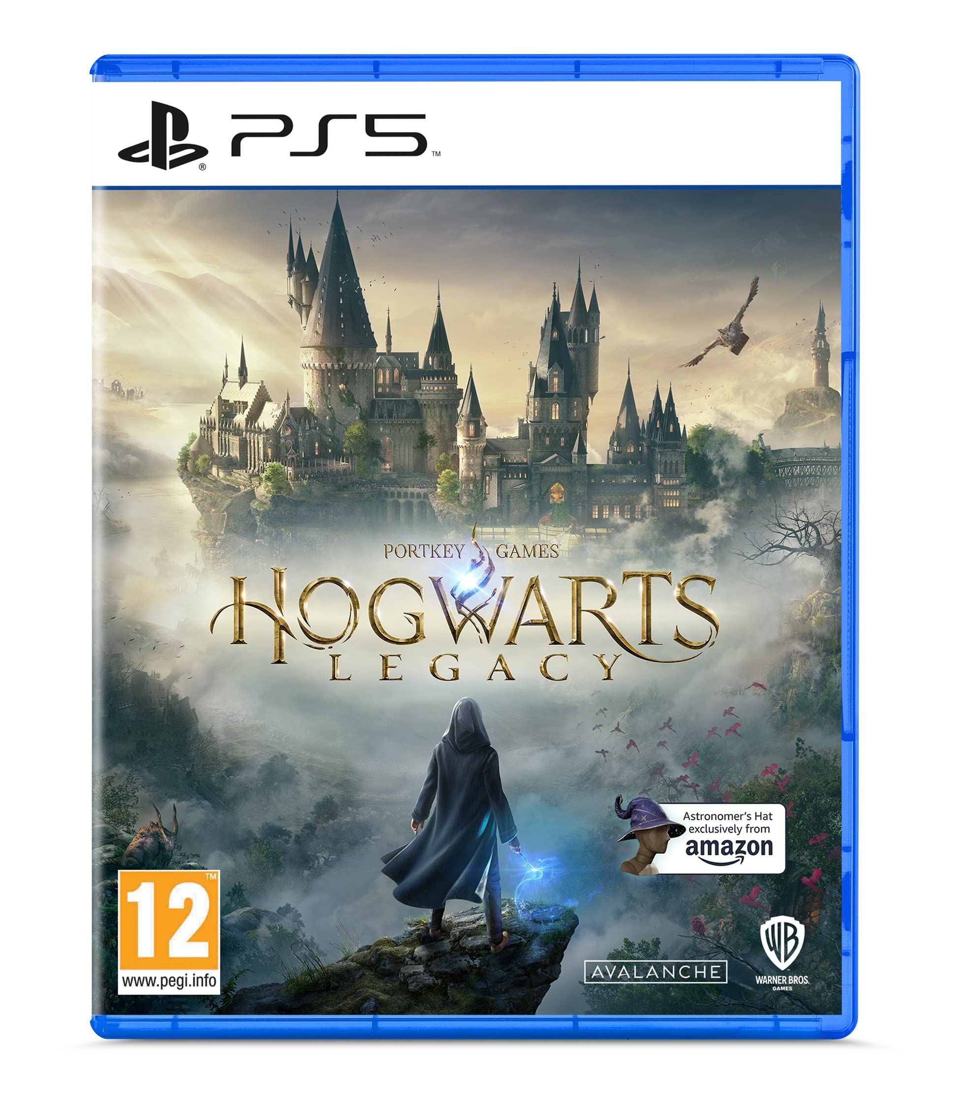 Hogwarts Legacy Image