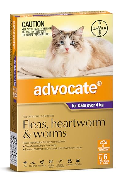 frontline for cats cheapest price