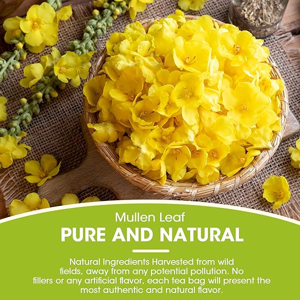MULLEIN LEAF TEA – RESPIRATORY AND LUNG CLEANSE HERBAL TEA, CAFFEINE FREE, 30 TEA BAGS