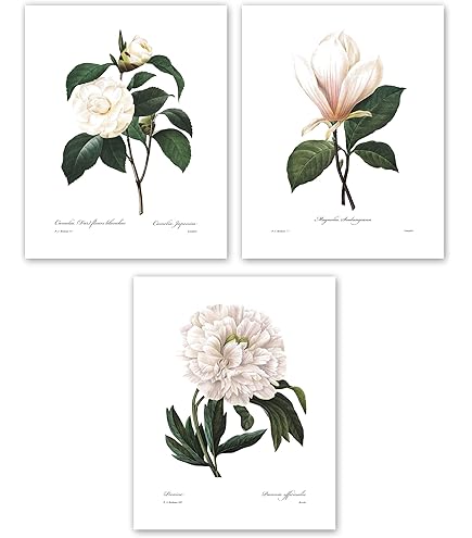 Amazon.com: CLOUD NINE PRINTS Orange Flower Art - French Botanical
