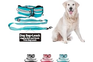 KRUZ PET Kruz Hands Free Dog Leash (Waist 26”- 48”, Leash- 1”x 5ft) Premium Waist Belt for Walking, Running & Hike Bungee with Dual Handles, Adjustable Fit, Reflective Safety Design for Large Dogs (Turquoise)