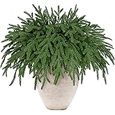 YooChenkin 12 Pcs Artificial Norfolk Pine Branches (18 Inch) - Real Touch Faux Greenery Stems for Christmas DIY Crafts, Wreath, Garland, Vase Fillers - Indoor/Outdoor Xmas Home Decor