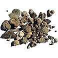 Bulk Educational Genuine Fossil Mix - 1/2 Lb Variety of 75 Genuine Fossils - Exclusively from DINOSAURS ROCK