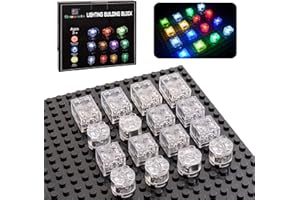 Sawaruita 16PCS Light Up Building Bricks Multicolor LED Light Brick Sets Classic Transparent 2x2 2x3 Building Block Accessories Kit Toys Compatible with All Major Brands