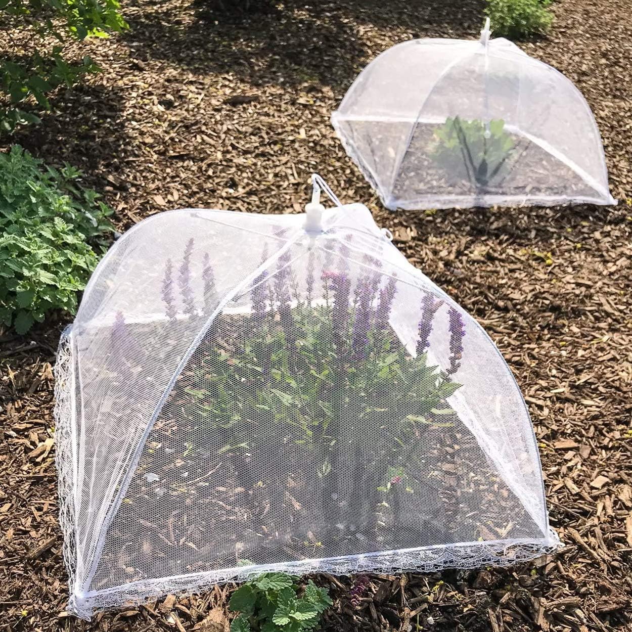 Ombrello A Rete Per Alimenti A Cupola 30,5 Cm - Copertura Pieghevole Pop-up Per Picnic, Barbecue, Esterni - Protezione Antipolvere E Insetti - Bianco