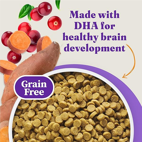 HALO HOLISTIC KITTEN FOOD, WILD CAUGHT SALMON & WHITEFISH RECIPE, GRAIN FREE DRY CAT FOOD, COMPLETE DIGESTIVE HEALTH, 6 LB BAG