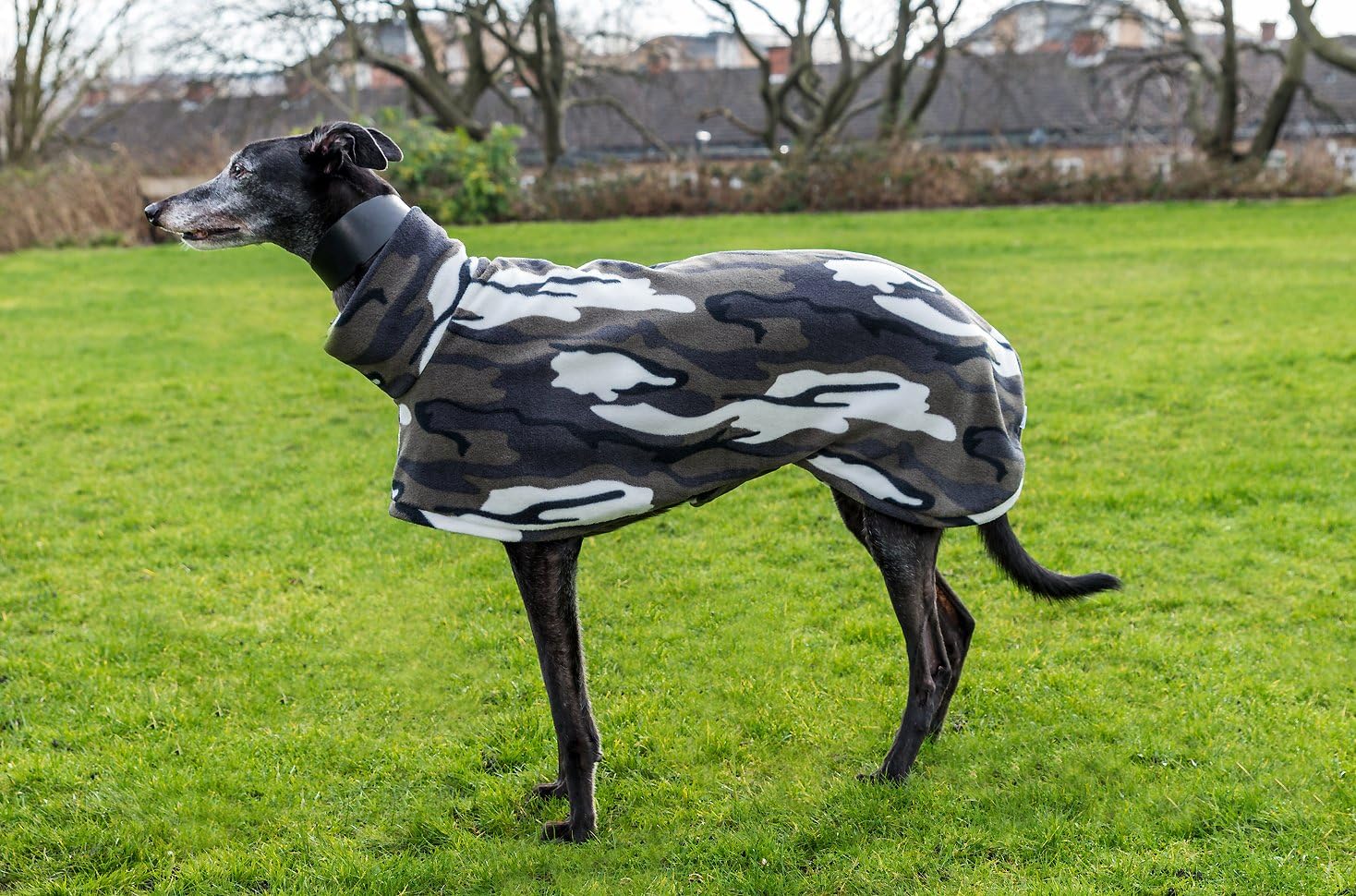 DOG AND HOME BEAUTIFUL WARM WHIPPET, GREYHOUND COAT (XL)
