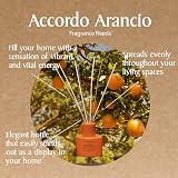 L'Erbolario Accordo Fragrance Scented Wood Sticks Diffuser 125ml Orange Scent view 2