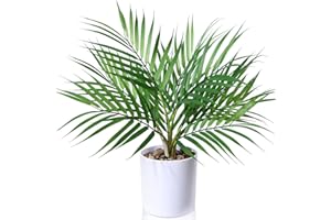 Kazeila Small Artificial Paradise Palm Tree 16 Inch Fake Areca Palm Plant,Faux Desk Plant in Pot for Indoor Outdoor Home Office Any Room Decor,Perfect Housewarming Gift