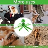 RAYITO Octopus Dog Toy No Stuffing Squeaky Crinkle for Small Medium Dogs Green view 4
