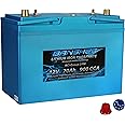 Deep Cycle Lithium Ion Marine Battery Group 27 Dual Terminal Replaces Optima D27M Blue Top 900CCA