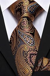 Hi-Tie 3 Pcs Gift Box Mens Tie Set Necktie with