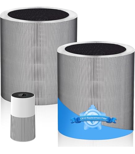 Amazon.com: Flintar C610 Replacement Filter Z, Made in Taiwan