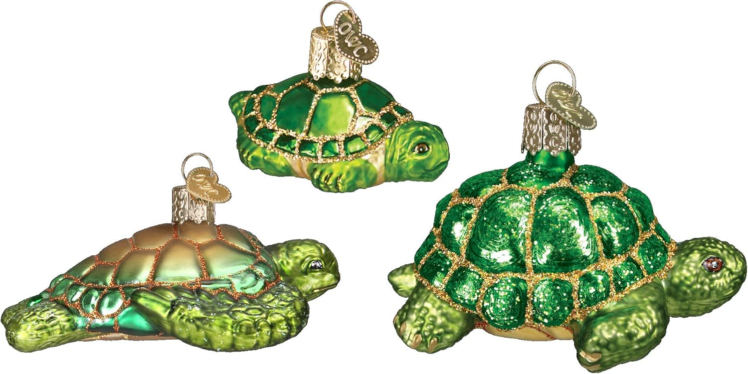 small desert tortoise