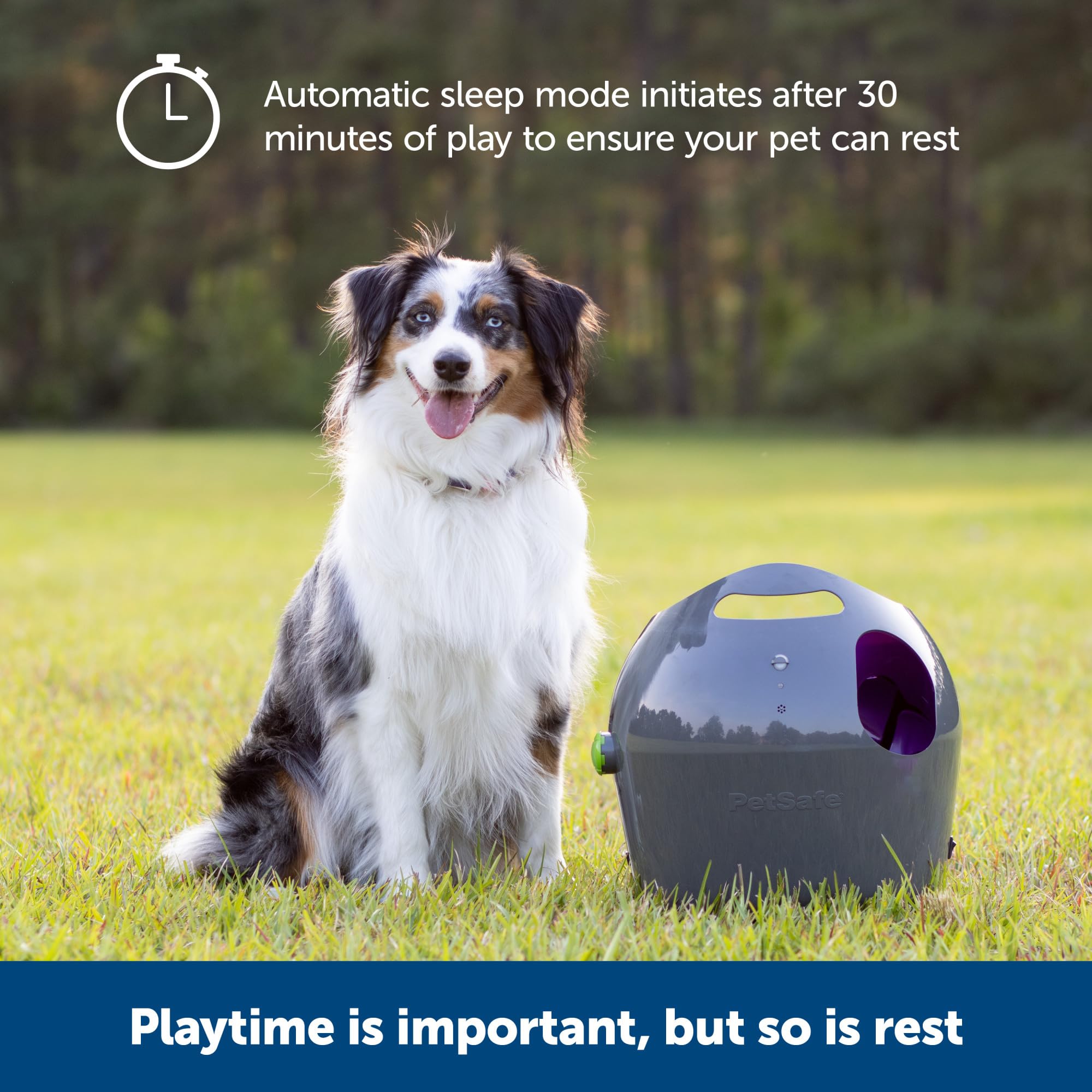 PetSafe Automatic Ball Launcher - Interactive Fetch Game - Hands-Free Fetch Training - Adjustable Range - Includes Tennis Balls - Indoor Outdoor Play - Motion Sensors - Automatic Sleep Mode
