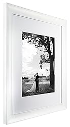 MCS 16x20 Inch Archival Frame with 11x14 Inch Mat