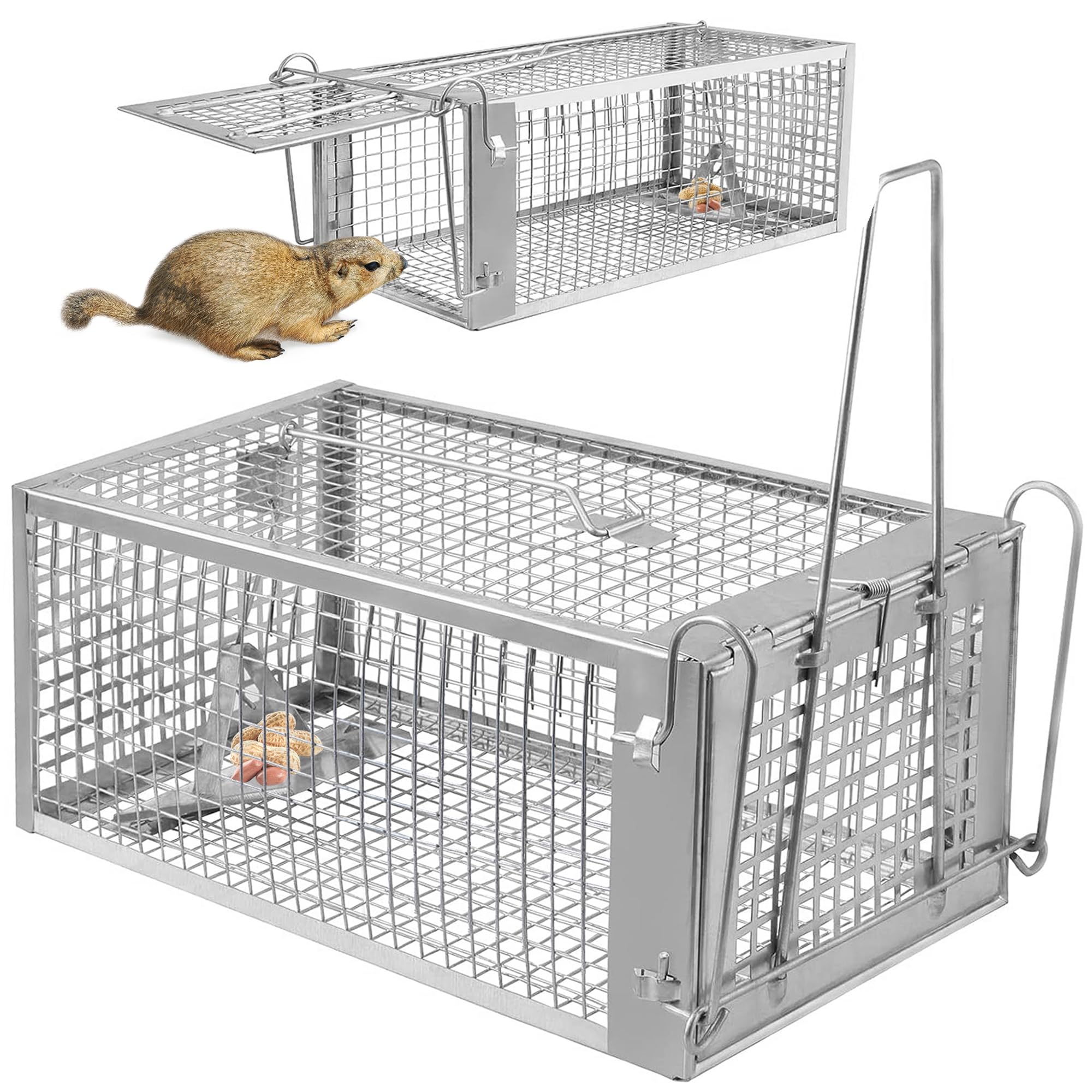 Photo 1 of Moclever Humane Rat Trap – Live Catch & Release Mouse Trap for Indoor & Outdoor Use | No-Kill Metal Cage for Chipmunks, Small Rats, Voles, Hamsters | Durable & Reusable Rodent Trap