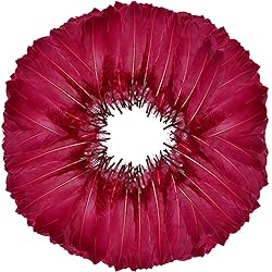 FeelfunFeather 120pcs Wine Red Goose Feathers 6-8