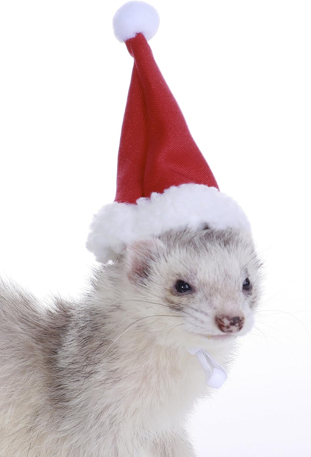 ferret hat