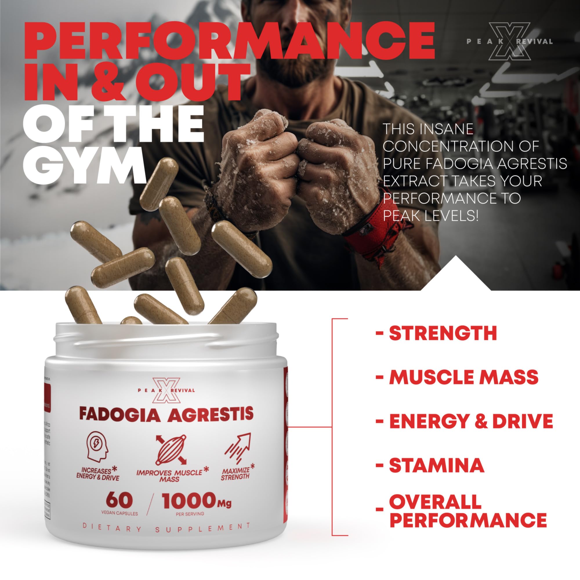 Fadogia Agrestis 1000mg Per Serving Supplement - Potent Extract to Increase Energy, Athletic Performance & Muscle Mass - Supplements, Made in The USA (60 Capsules)
