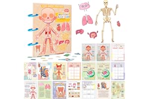 Alened Human Body Anatomy Busy Book for Kids, Kindergarten Learning Activities, Montessori Autism Sensory Educational Toys, Travel Sticker Games for Toddlers Ages6-8 Year Old