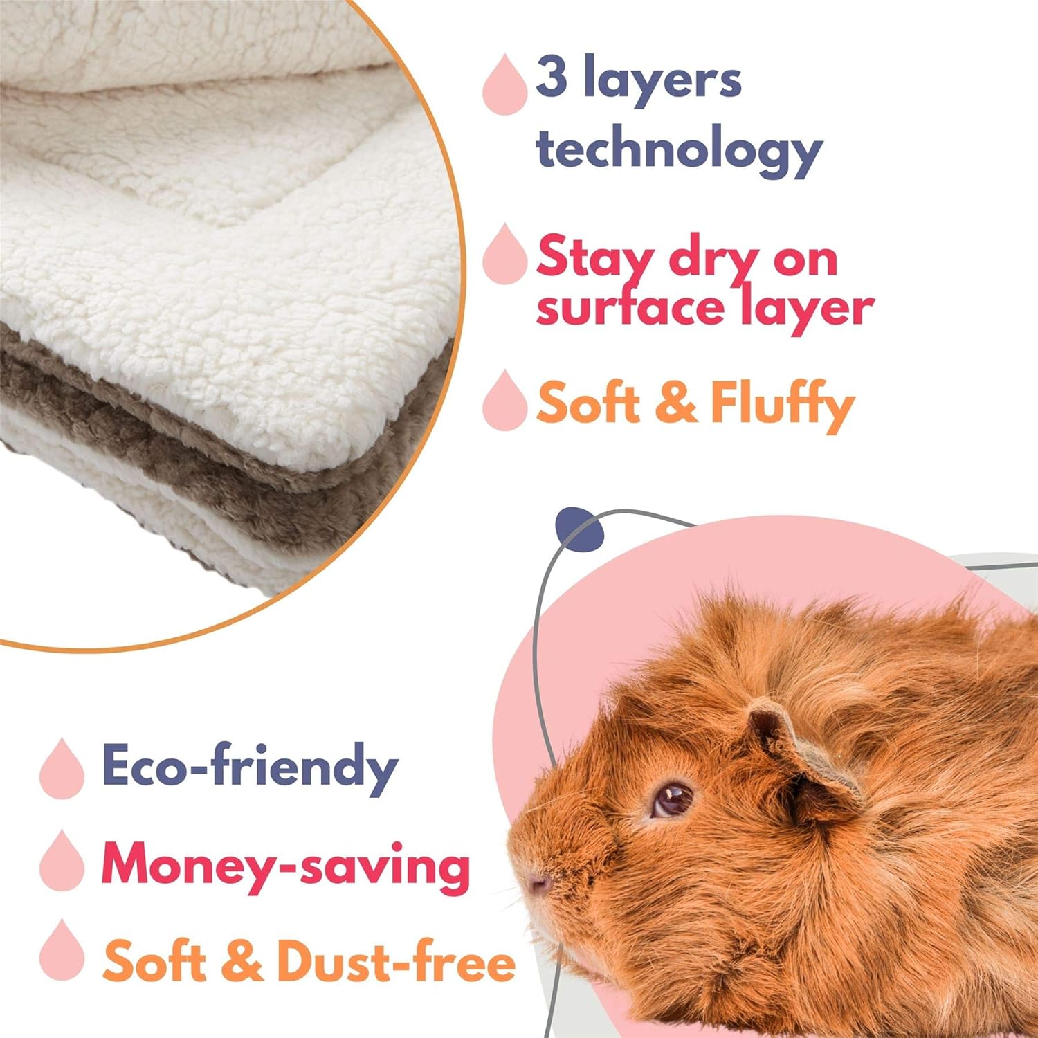 absorbent layer for guinea pigs