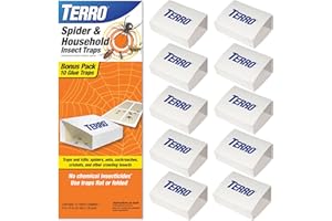 TERRO Spider & Insect Trap T3206-10 - Pack of 10 Insect Traps