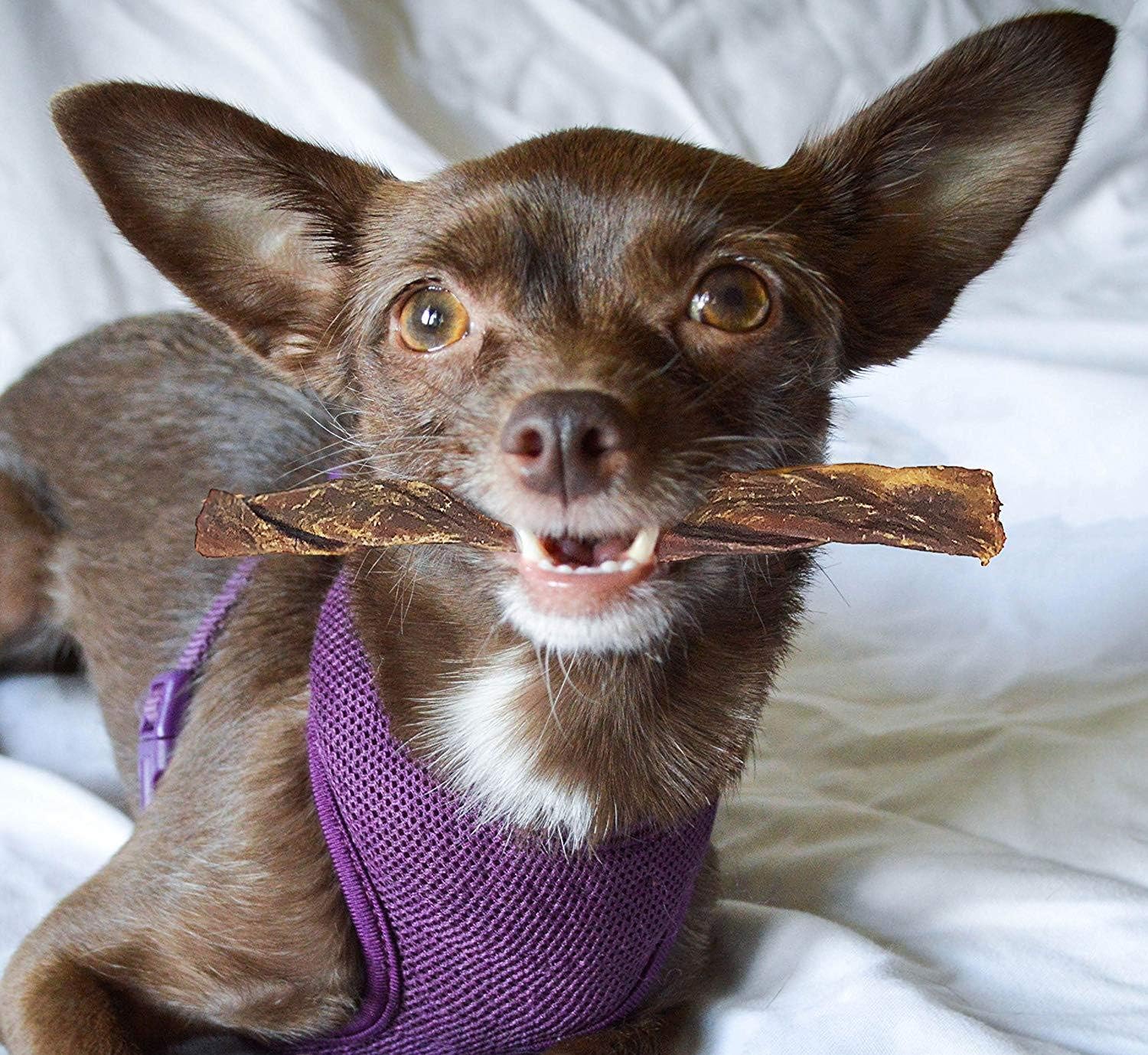 Amazon Com Ecokind Pet Treats Gullet Sticks 15 Pack Beef Dog