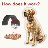 Beaphar Canishield Medicated Flea & Tick Collar Large Dogs 65 cm view 7