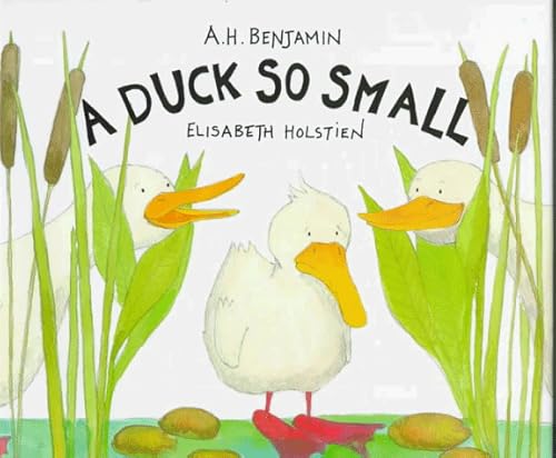 A Duck So Small 1854305727 Book Cover