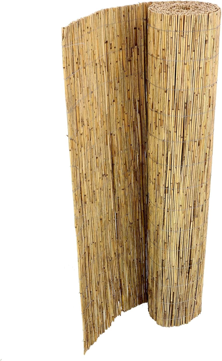 bambus-discount.com Schilfrohrmatten Premium Beach, 160 hoch x 600cm breit Sichtschutz Matten Windschutzmatten