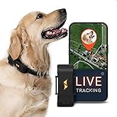 PAJ GPS Tracker for Dogs with 3 Month Subscription Included, 4G Real-Time Dog GPS Tracker with Virtual Fence, Activity & Heal