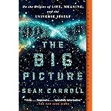 The Big Picture: On the Origins of Life, Meaning, and the Universe Itself