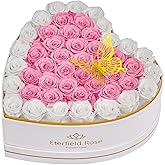 Eterfield 47 Preserved Roses in Heart Shape Box, Forever Flowers Rose Box Preserved Flowers Birthday Gifts for Her Mom Women Wife Anniversary Valentines Day Mothers Day, Pink