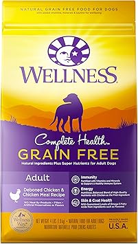 wellness core dog food 24 lb