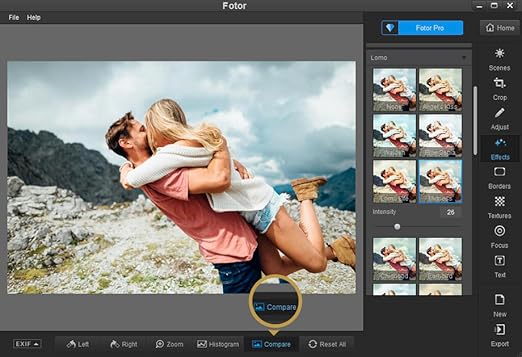 fotor for windows 10